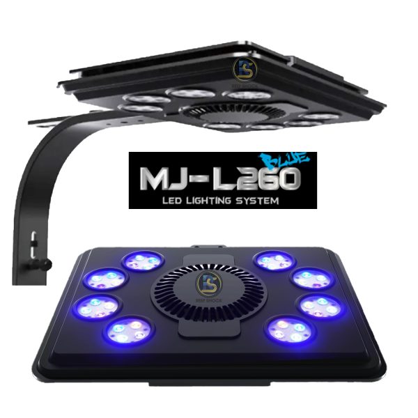 Maxpect MJ L :260(blue) - Image 2